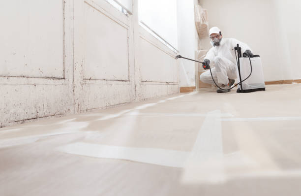 Black mold remediation team in Olanta